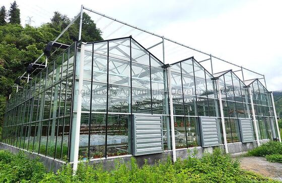 comprar Paneles de vidrio para invernadero con protección UV resistentes a impactos, vidrio para invernaderos de horticultura ecológico online manufacture