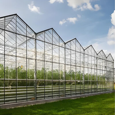 Buy 300*300mm Greenhouse Glass Panels High Transmittance Agriculture Glass Customizable online manufacture