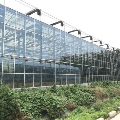 comprare Pannelli di vetro per serra con rivestimento AR, vetro per serra temperato con motivo, 300*300mm online manufacture