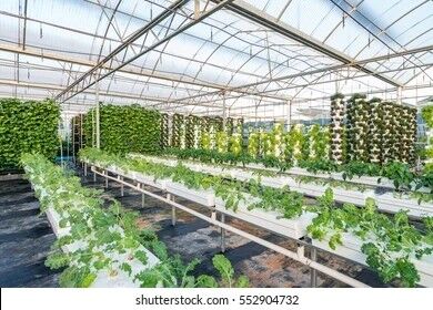 Buy 4mm Tempered Glass Greenhouse Panels Customizable Greenhouse Glass Roof Panels Lightweight online manufacture