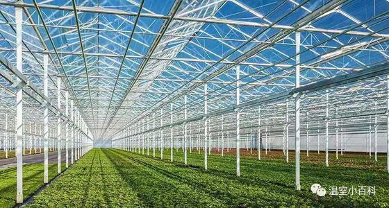 kaufen Anpassbare Gewächshaus-Glasplatten 3,2 mm 4 mm Glas für Gewächshausdach online manufacture